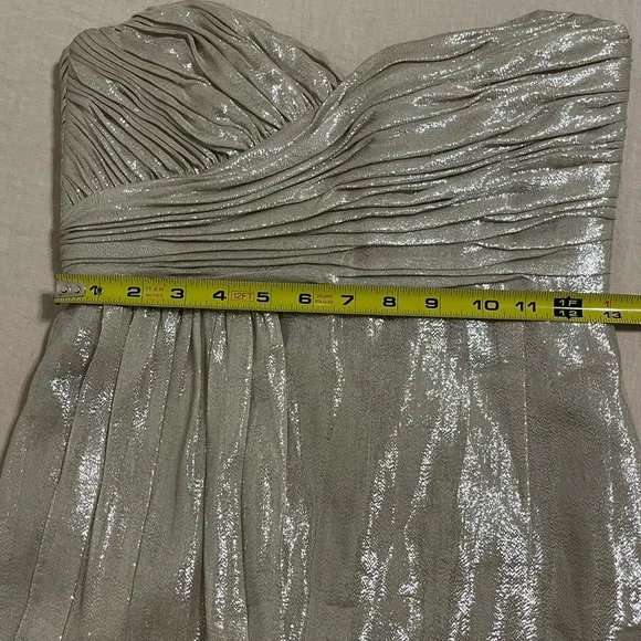 Silver Silk Vera Wang Strapless Dress - Picture 6 of 8